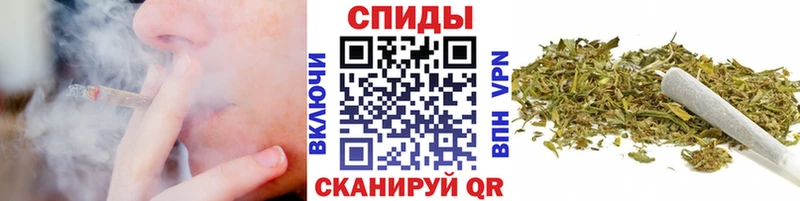 Бутират буратино  Судак 
