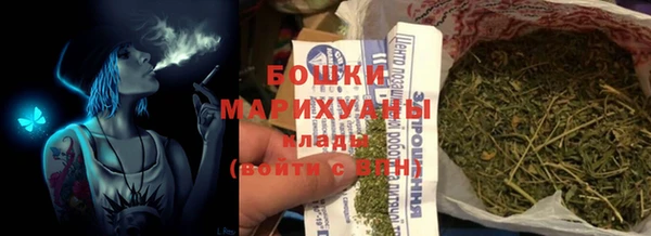 PSILOCYBIN Балахна