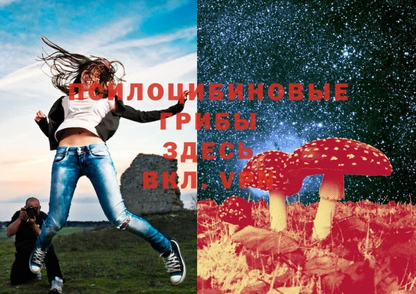 твердый Пролетарск