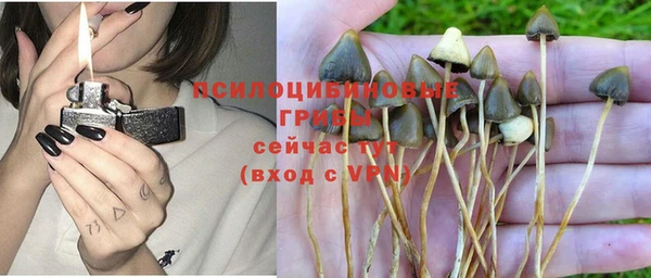 PSILOCYBIN Балахна