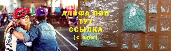 PSILOCYBIN Балахна