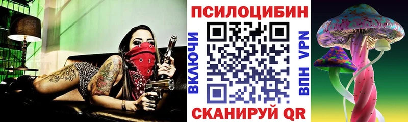 купить наркоту  Судак  Галлюциногенные грибы мицелий 